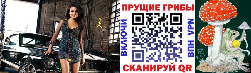 Галлюциногенные грибы GOLDEN TEACHER  Безенчук 